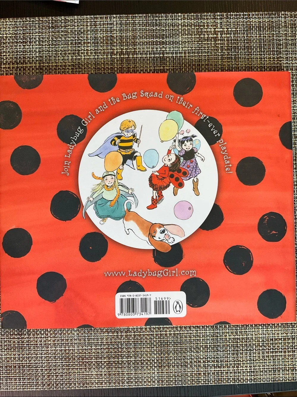 Ladybug Girl and the Bug Squad, Hardcover NWT